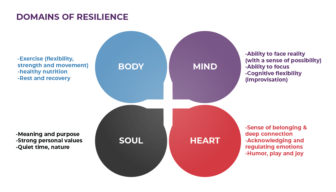 Domains of resilience